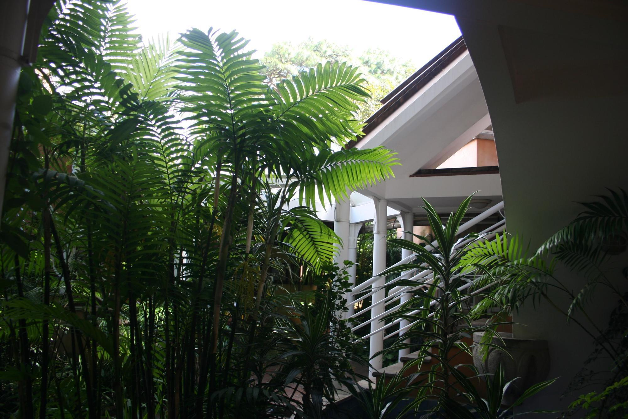 Hotel Ciudad Vieja Ville de Guatemala Extérieur photo